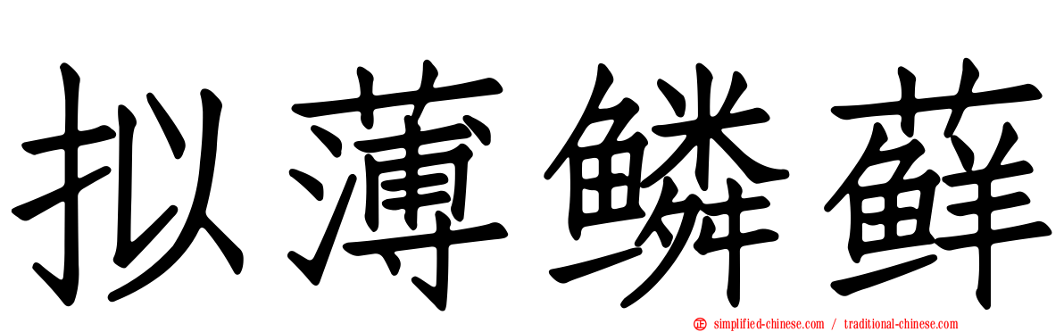 拟薄鳞藓