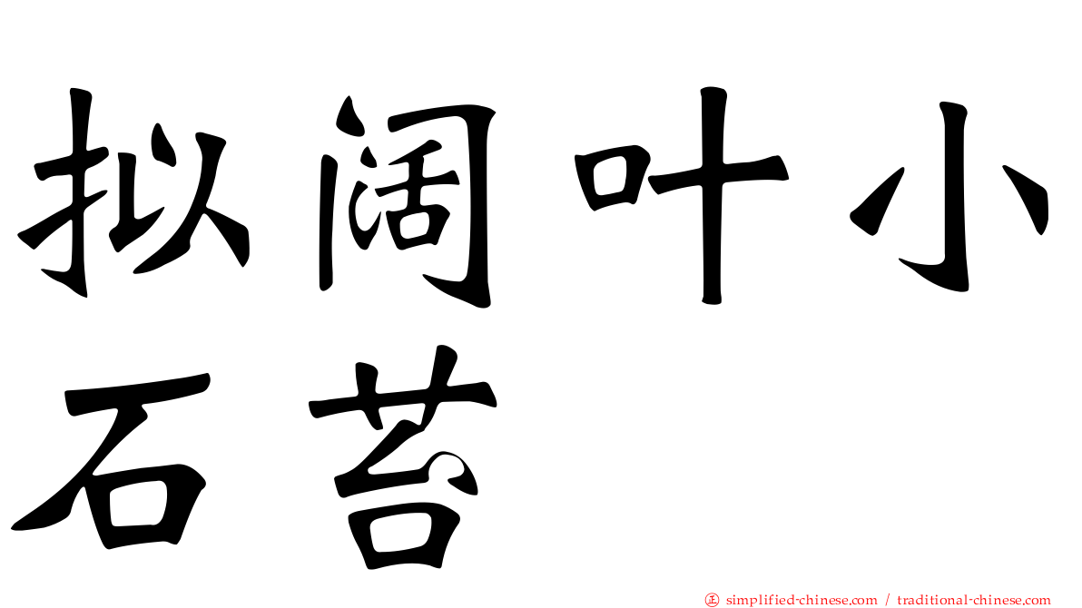 拟阔叶小石苔