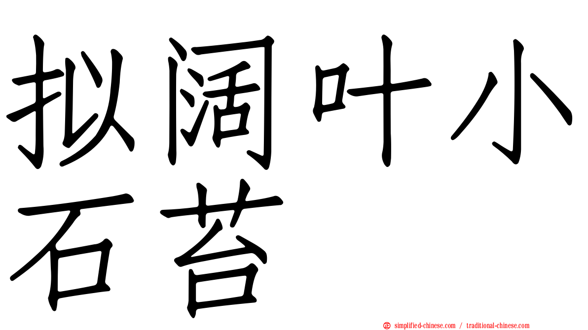 拟阔叶小石苔