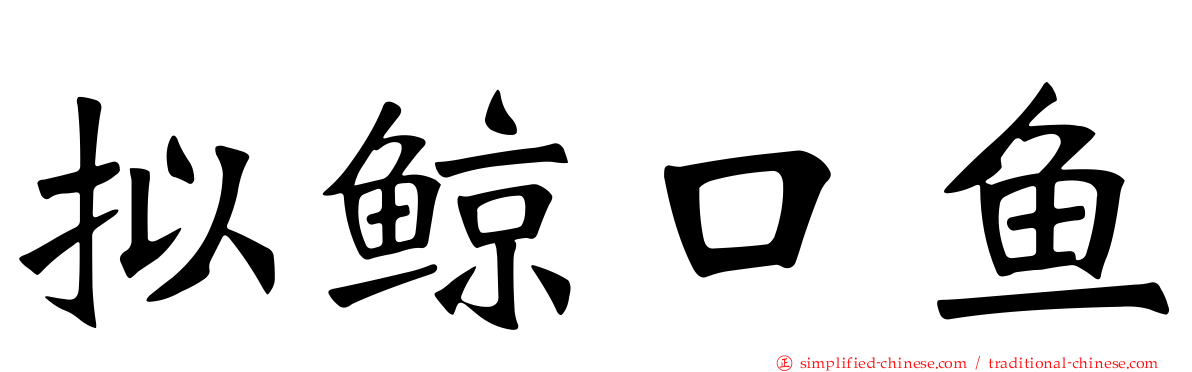 拟鲸口鱼