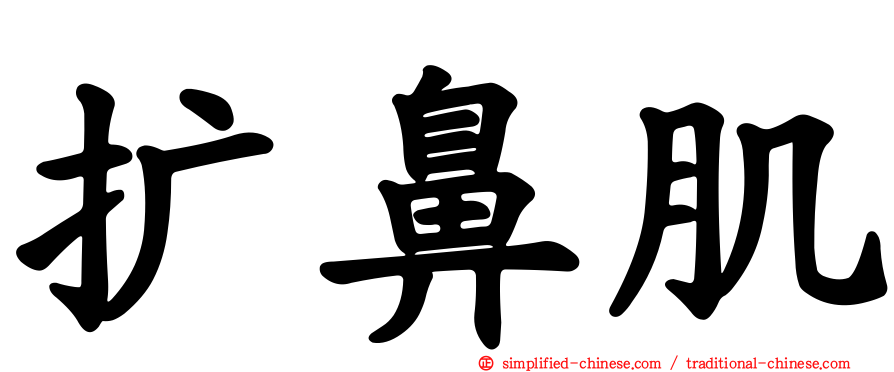 扩鼻肌