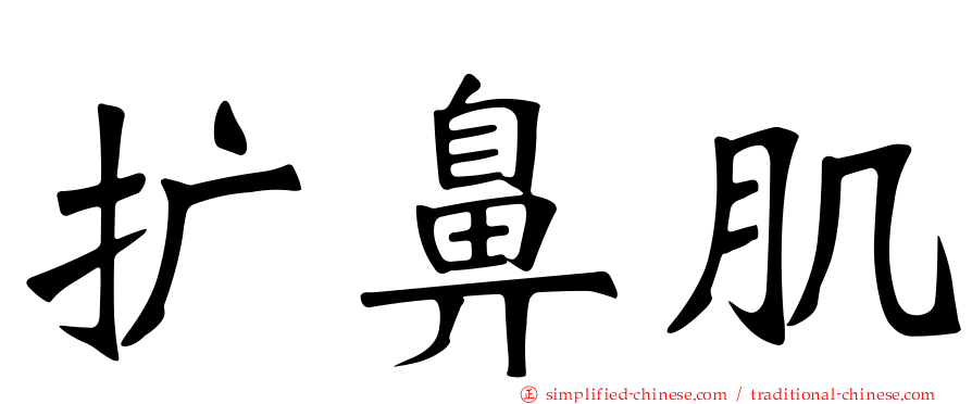 扩鼻肌