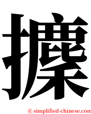 攈 serif font