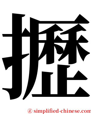 攊 serif font