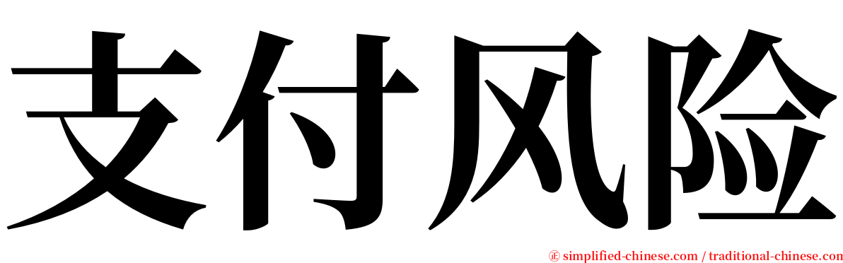 支付风险 serif font