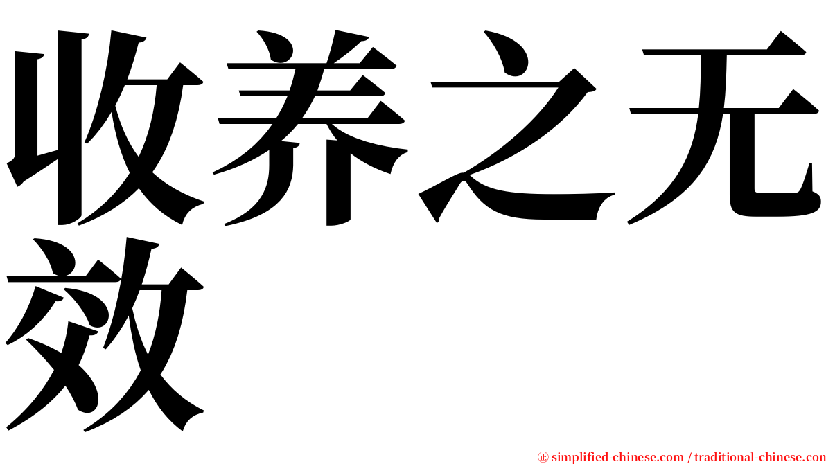 收养之无效 serif font