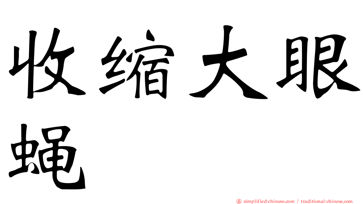 收缩大眼蝇