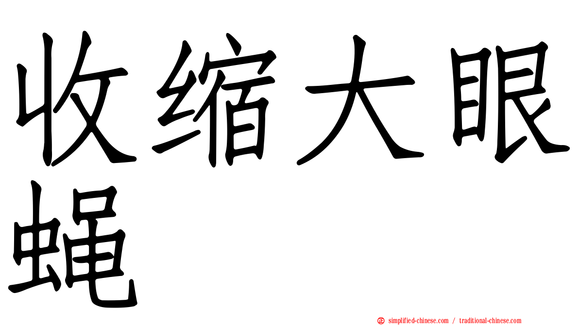 收缩大眼蝇