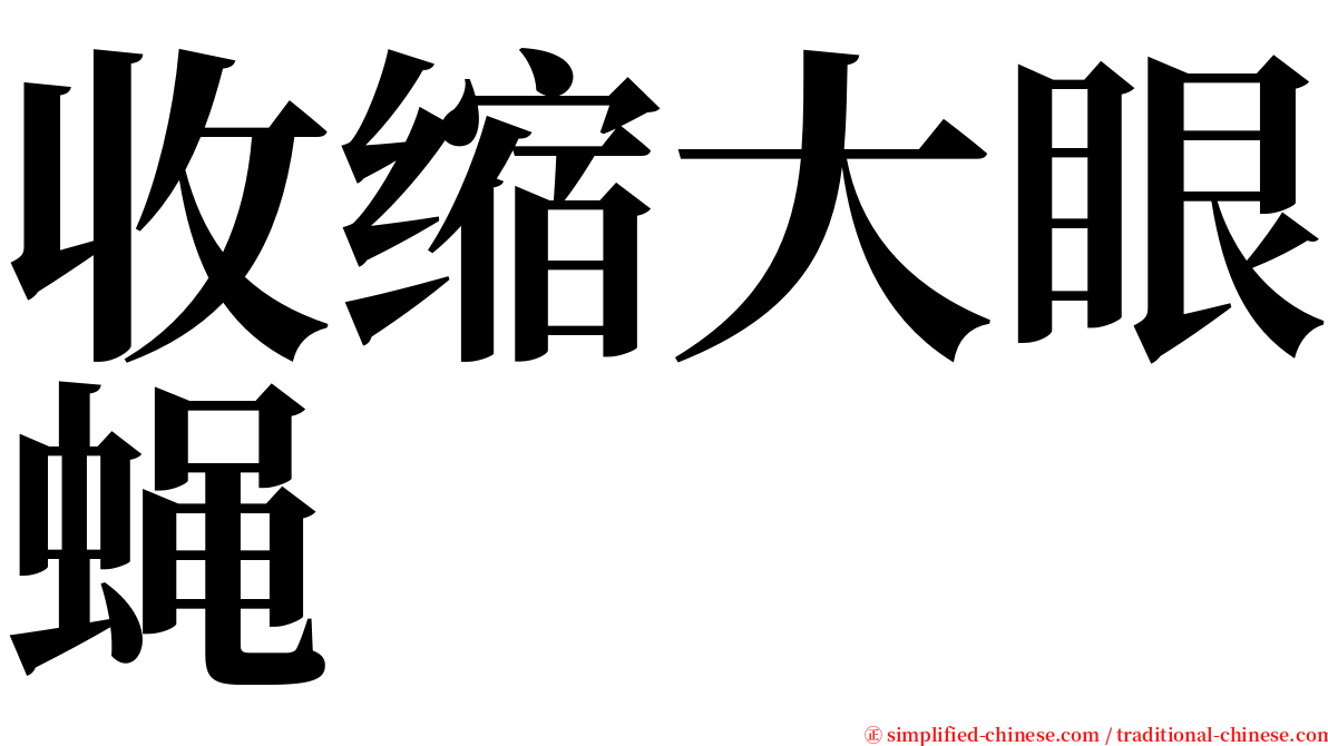 收缩大眼蝇 serif font