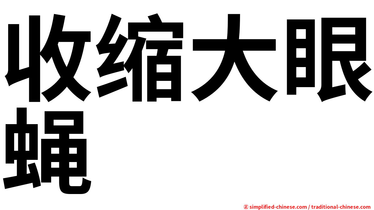 收缩大眼蝇