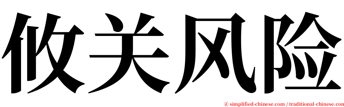 攸关风险 serif font