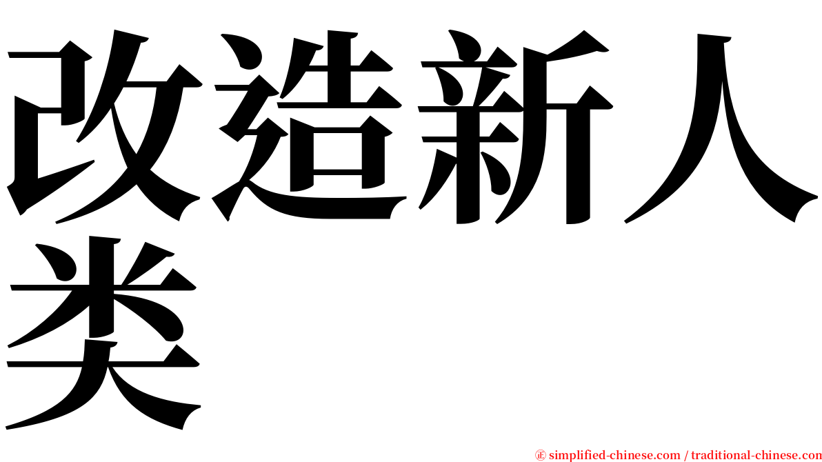 改造新人类 serif font