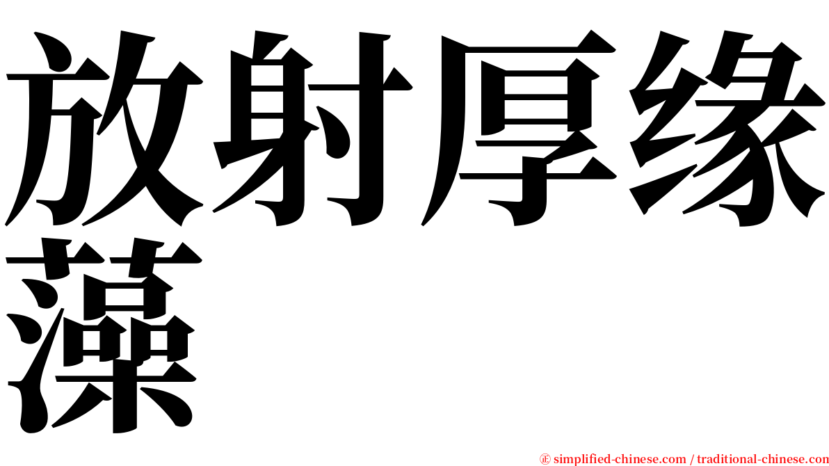放射厚缘藻 serif font
