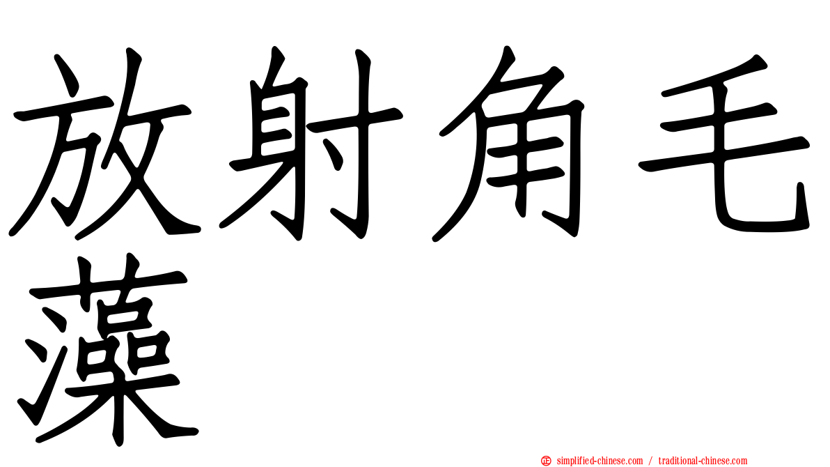 放射角毛藻