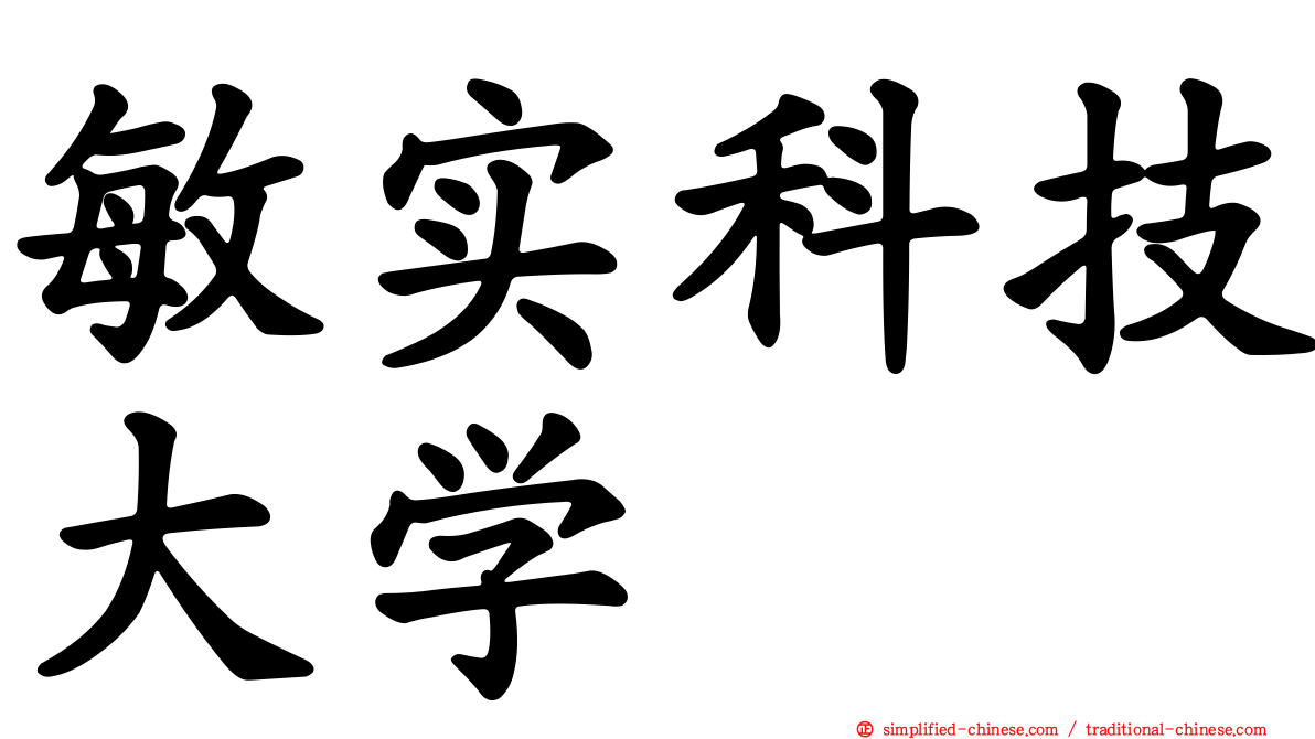 敏实科技大学