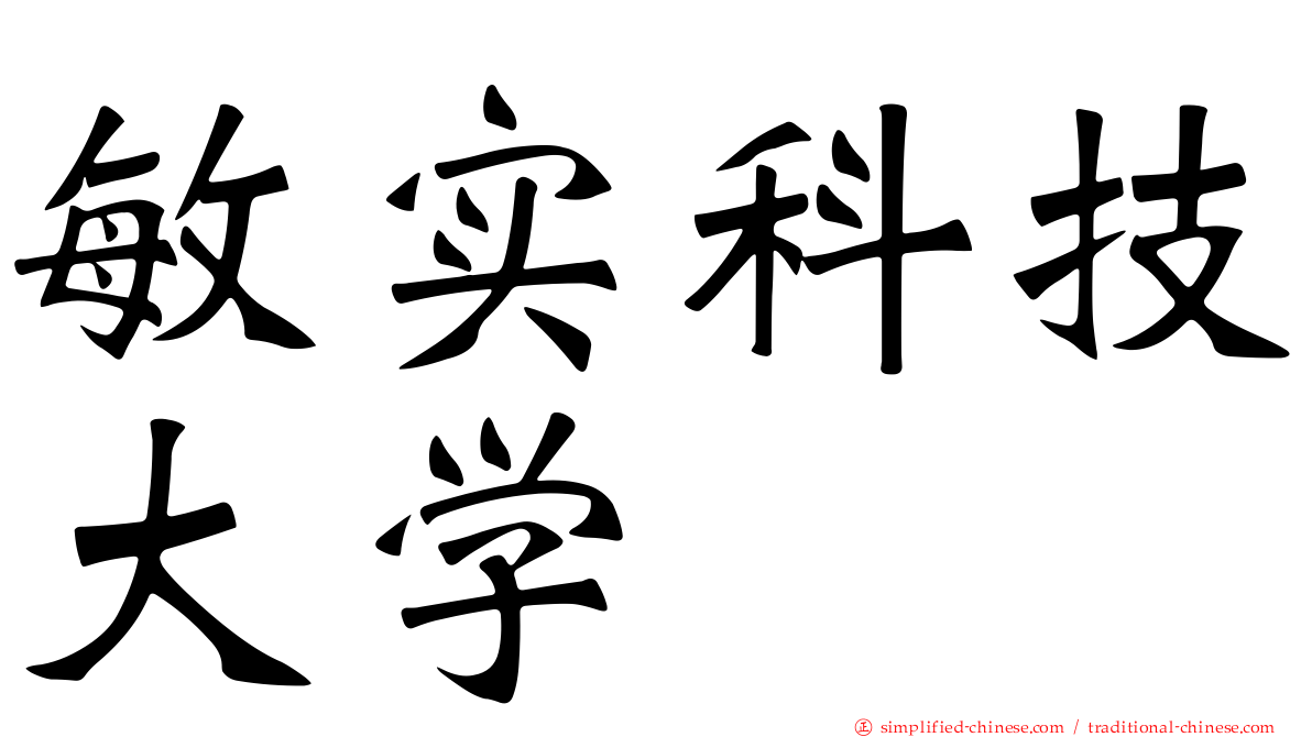 敏实科技大学