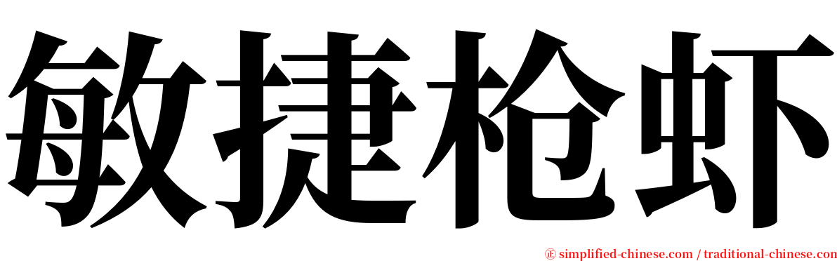 敏捷枪虾 serif font