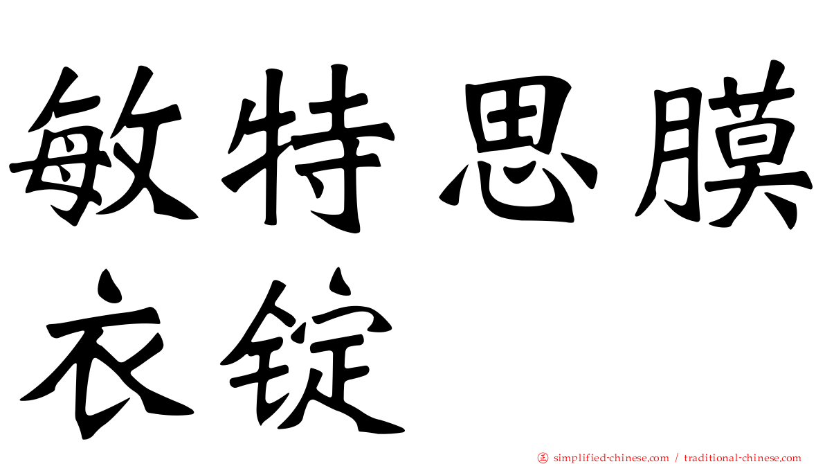 敏特思膜衣锭