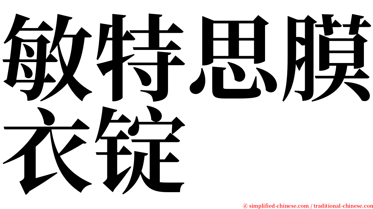 敏特思膜衣锭 serif font