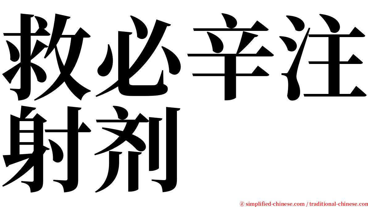 救必辛注射剂 serif font