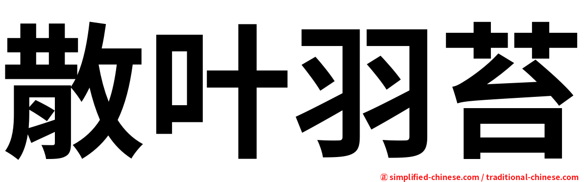 散叶羽苔