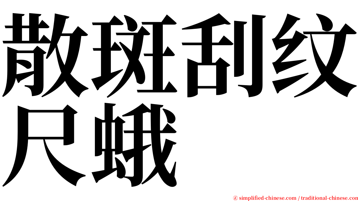 散斑刮纹尺蛾 serif font