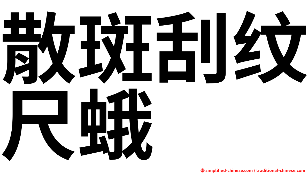 散斑刮纹尺蛾