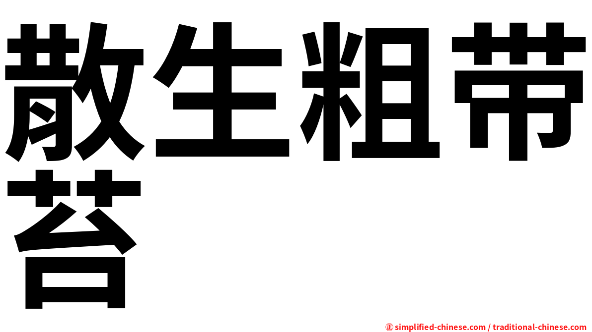 散生粗带苔