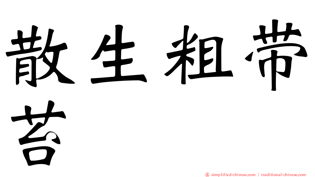 散生粗带苔