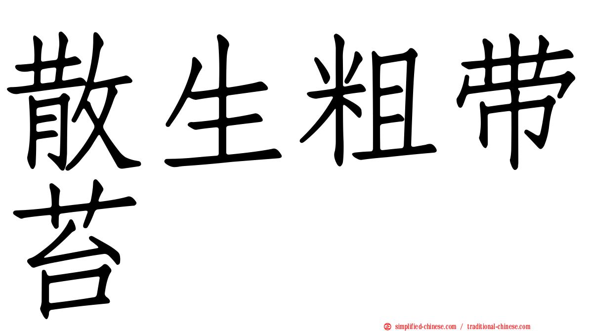 散生粗带苔