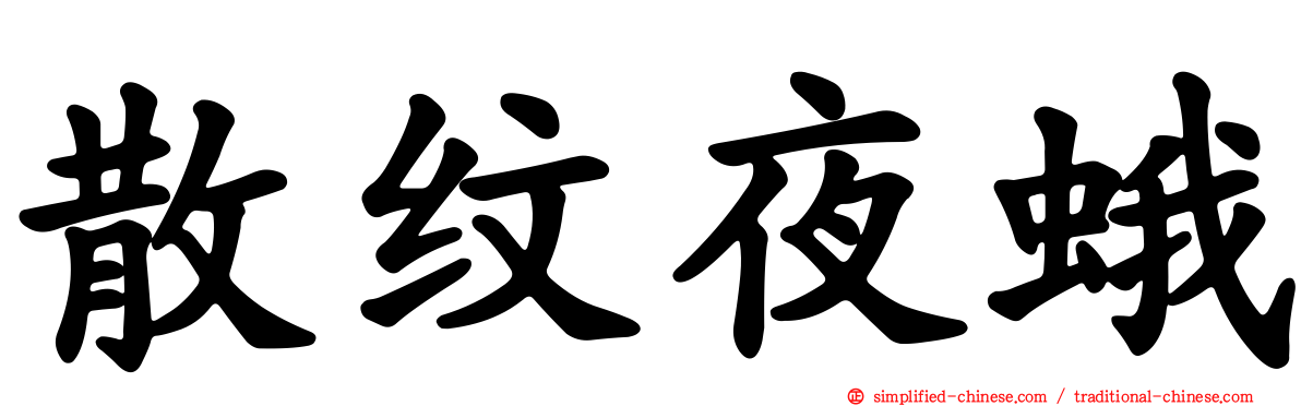 散纹夜蛾
