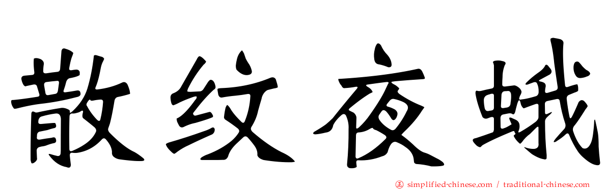 散纹夜蛾