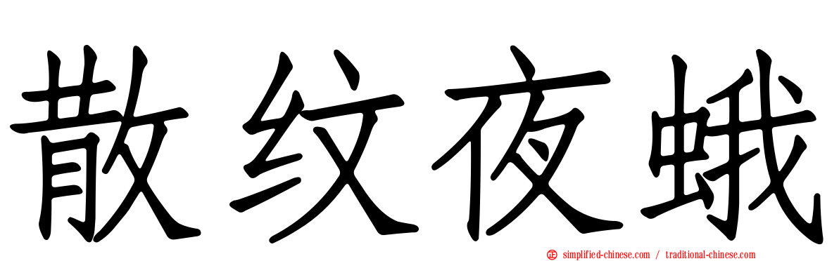 散纹夜蛾