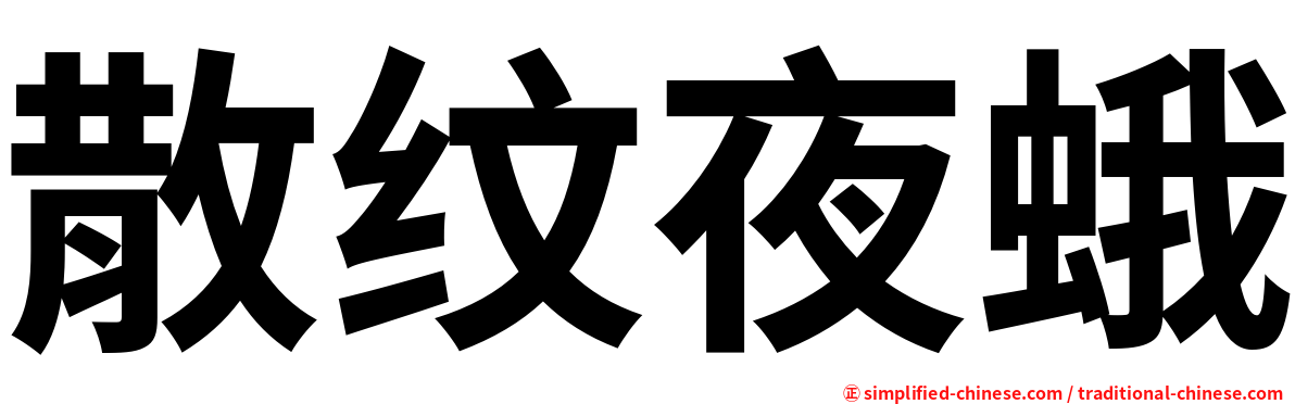 散纹夜蛾