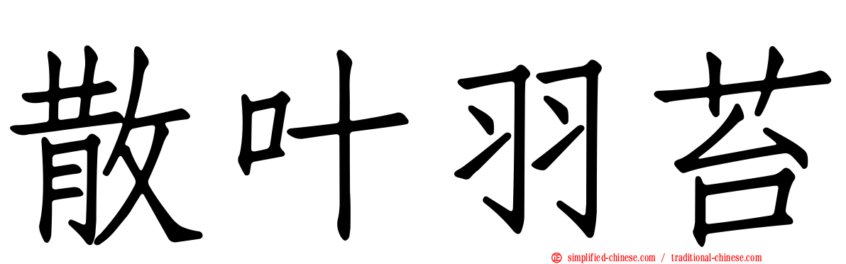 散叶羽苔
