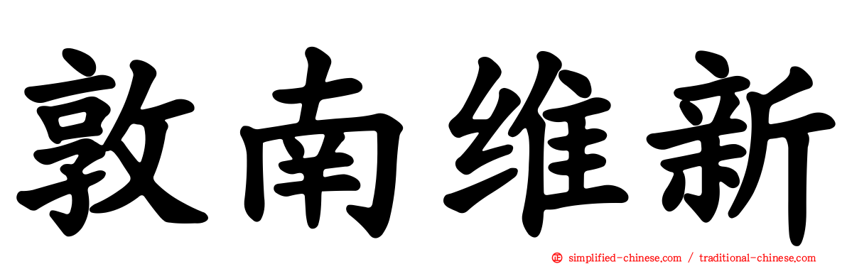 敦南维新