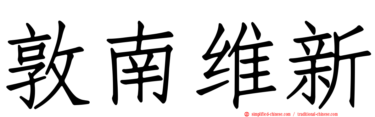 敦南维新