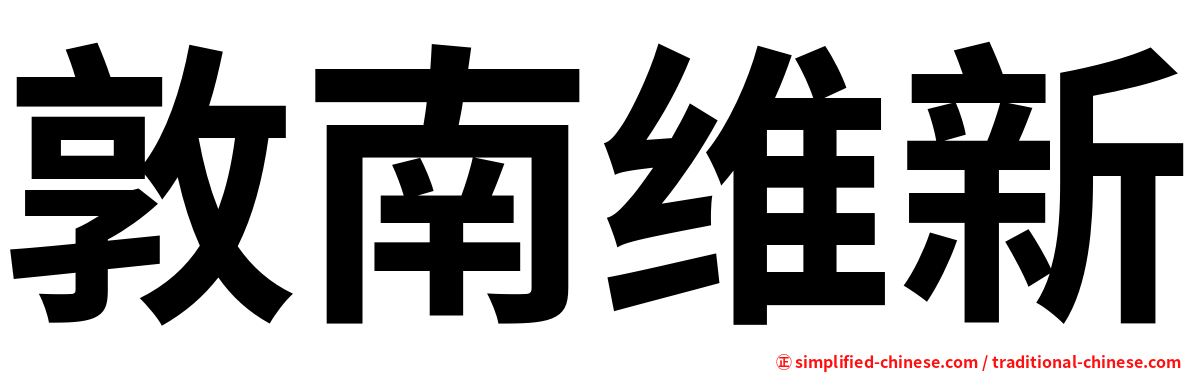 敦南维新