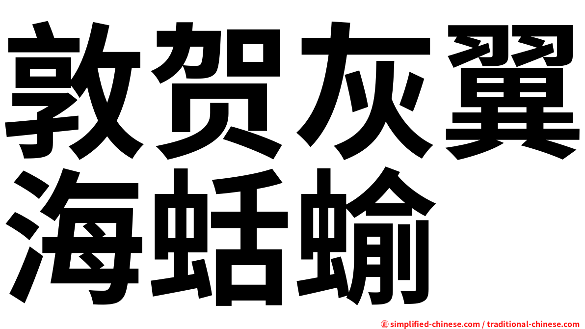 敦贺灰翼海蛞蝓