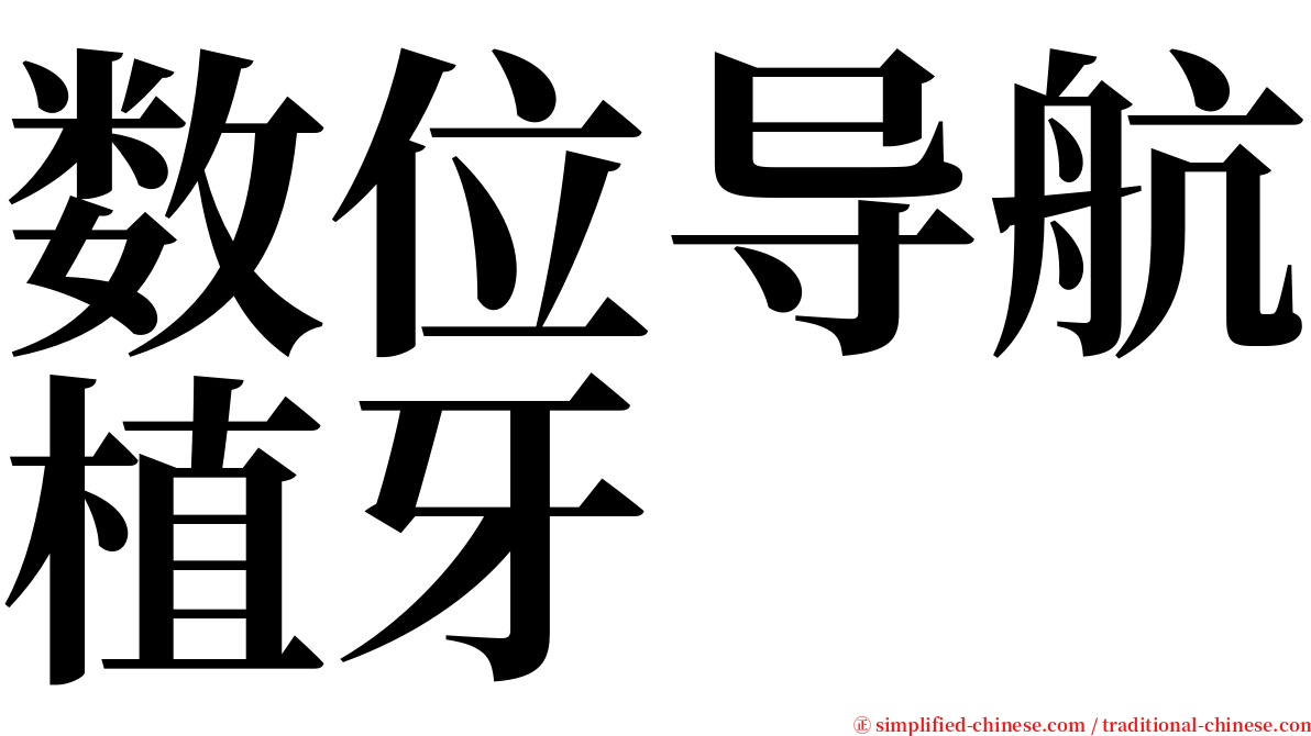 数位导航植牙 serif font