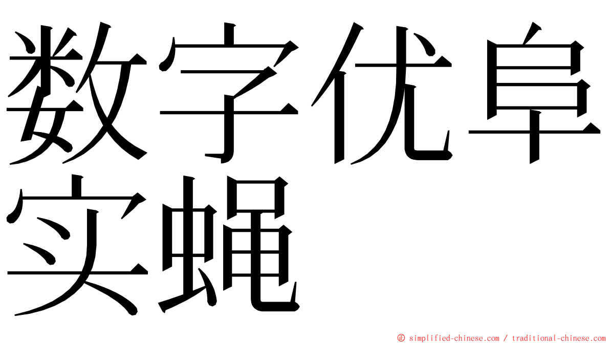 数字优阜实蝇 ming font