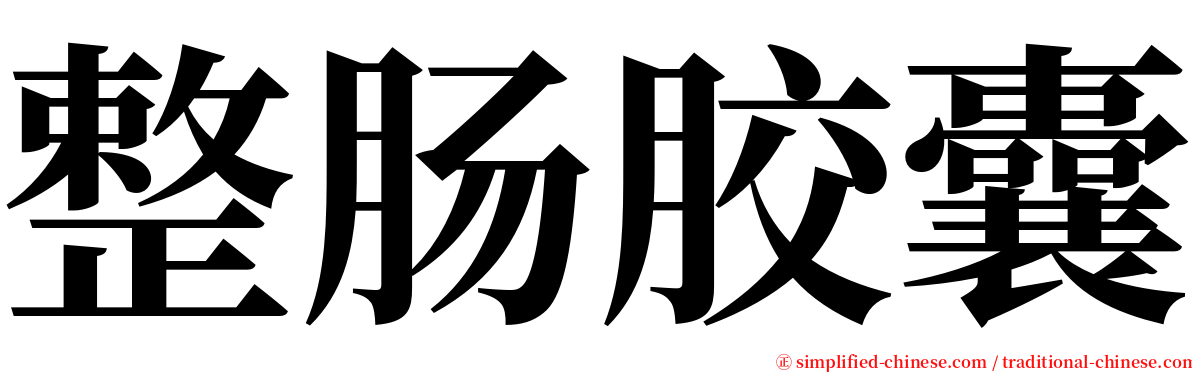 整肠胶囊 serif font