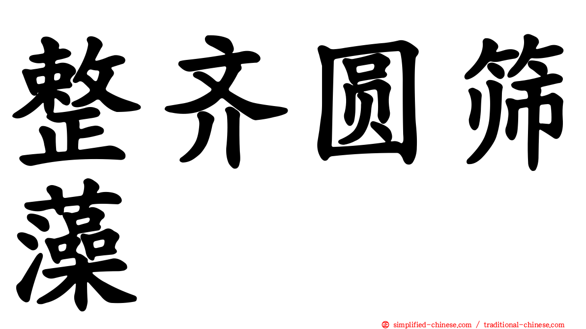 整齐圆筛藻