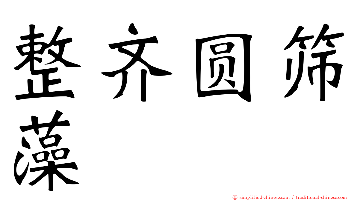 整齐圆筛藻