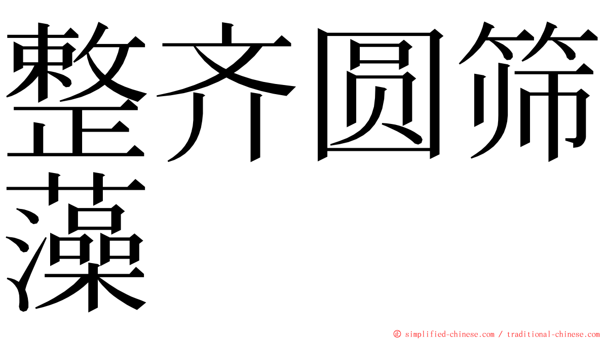 整齐圆筛藻 ming font