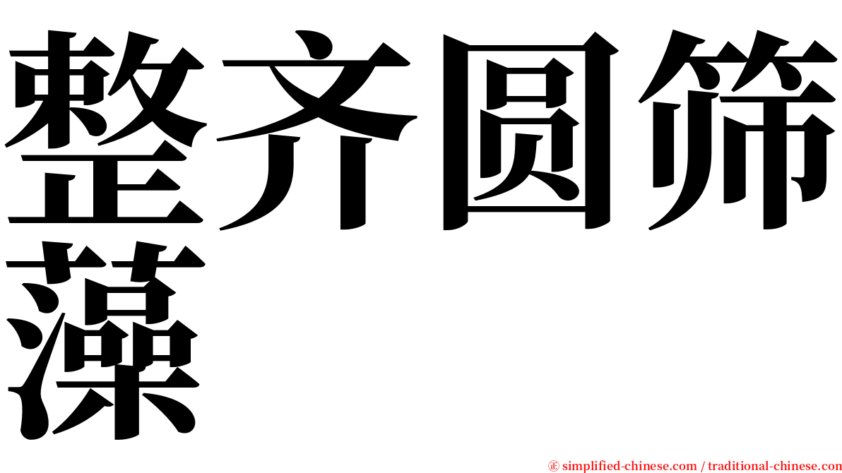整齐圆筛藻 serif font