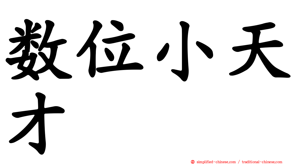 数位小天才