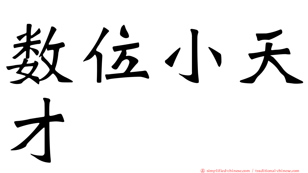 数位小天才