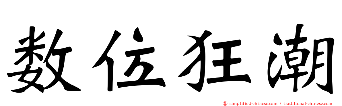 数位狂潮