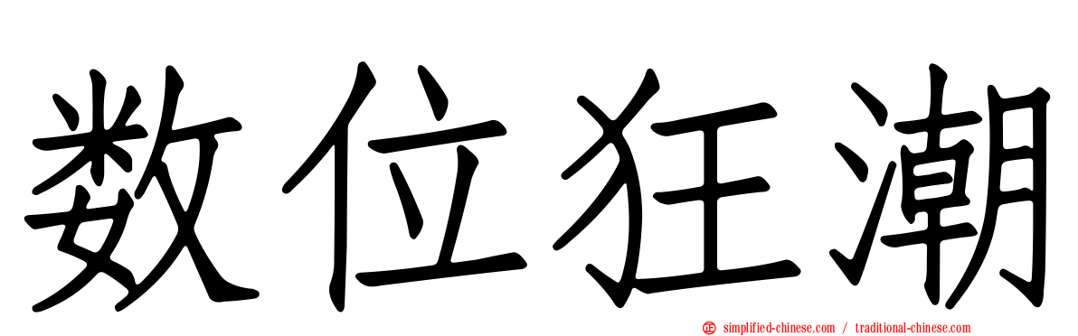 数位狂潮
